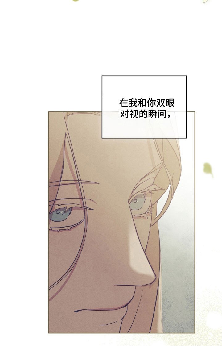 第74章：为了告白