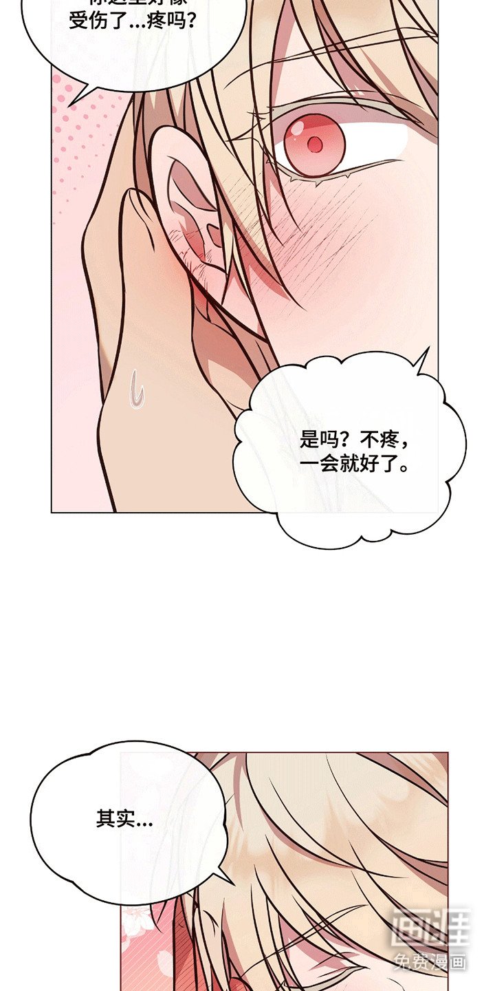 第10章：提议