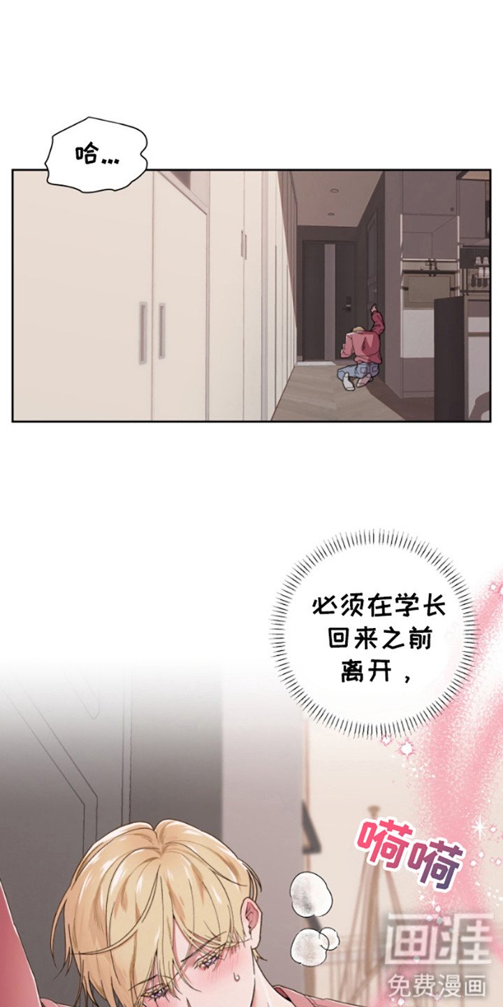 第1章：信息素