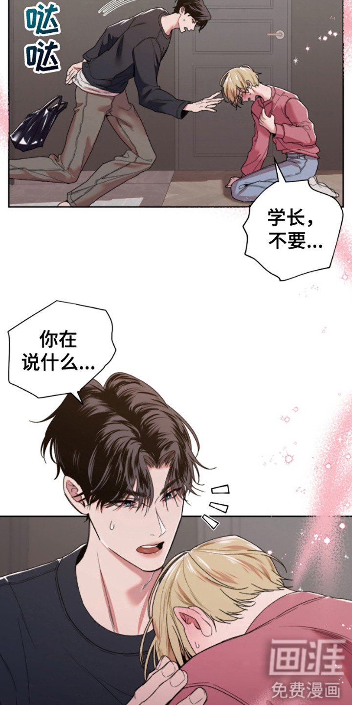 第1章：信息素
