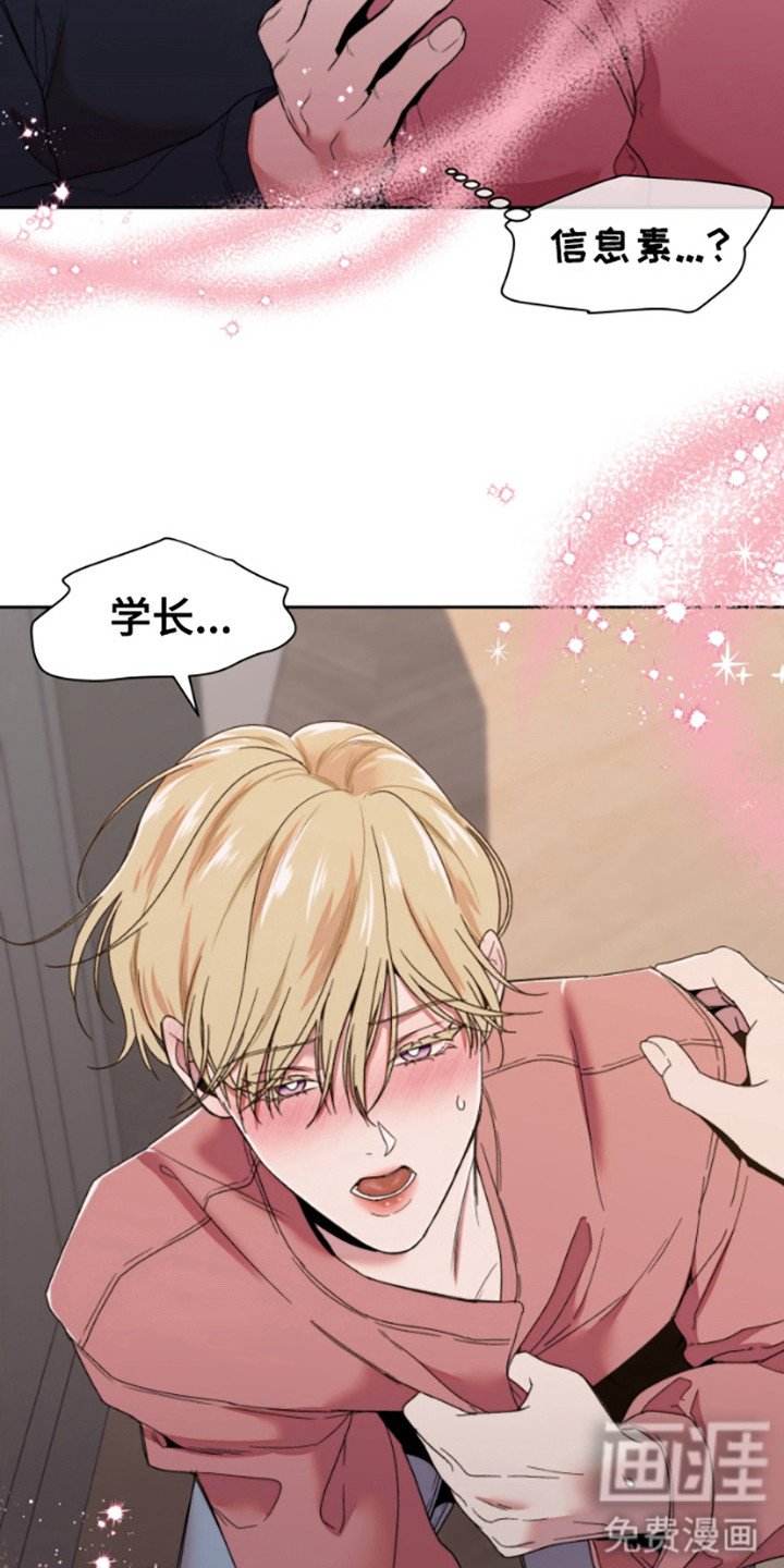 第1章：信息素