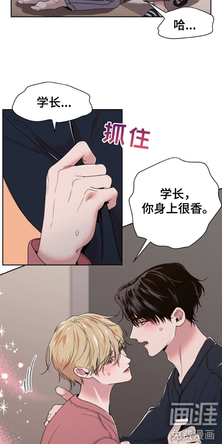 第1章：信息素