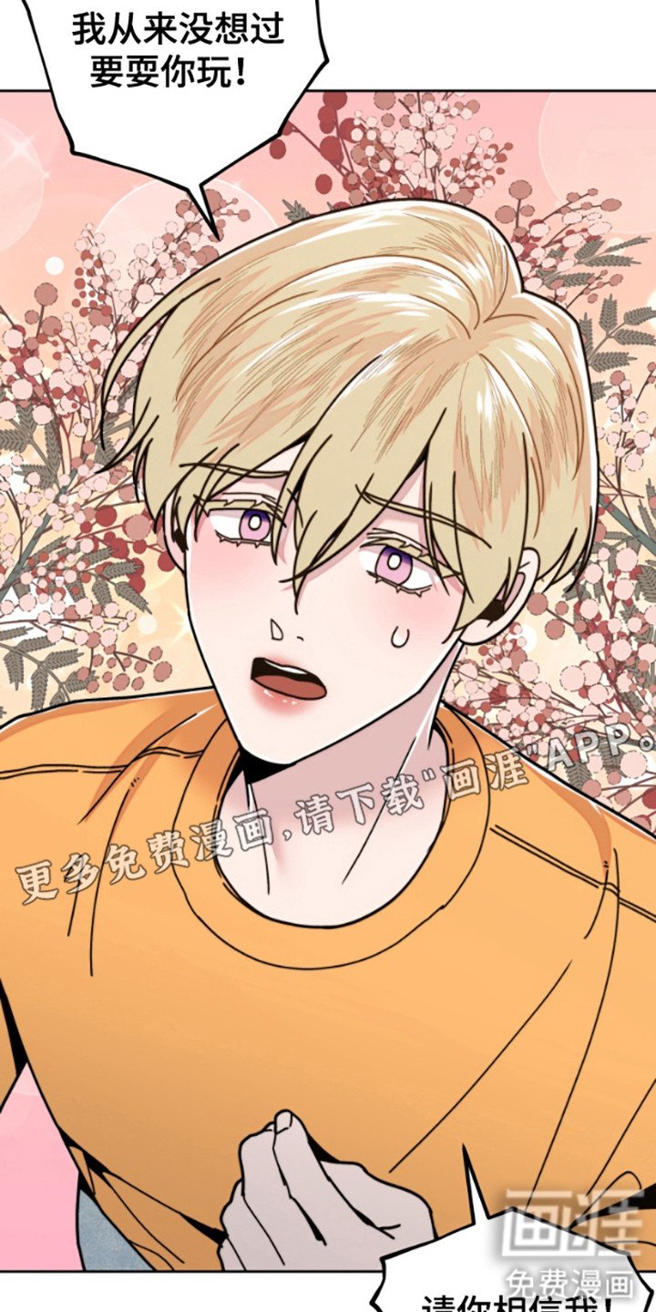 第13章：解释
