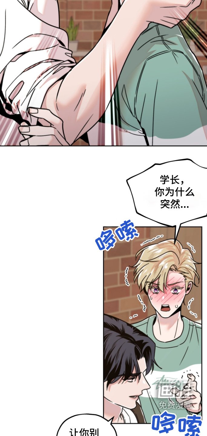 第16章：什么类型