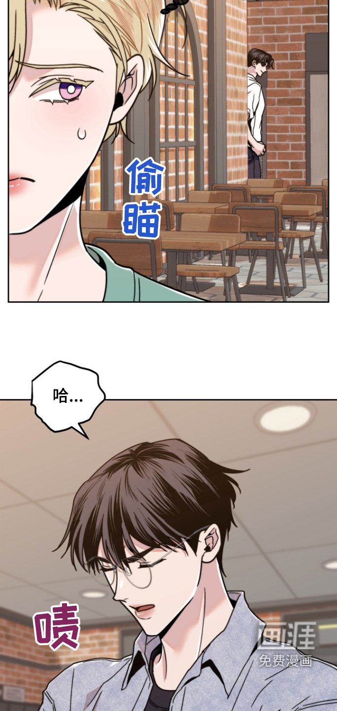 第16章：什么类型