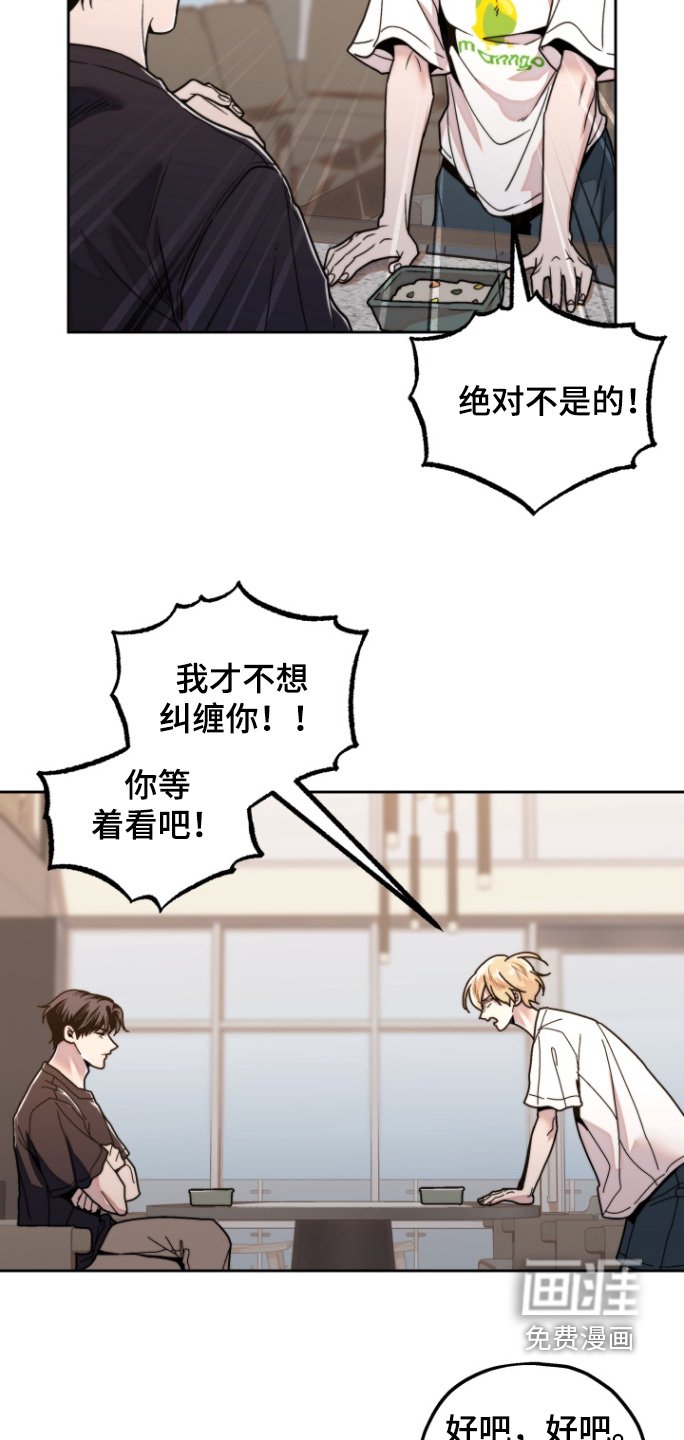 第19章：看电影