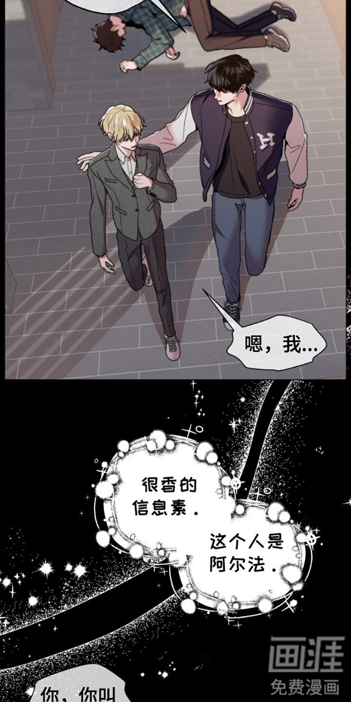 第2章： 一见钟情