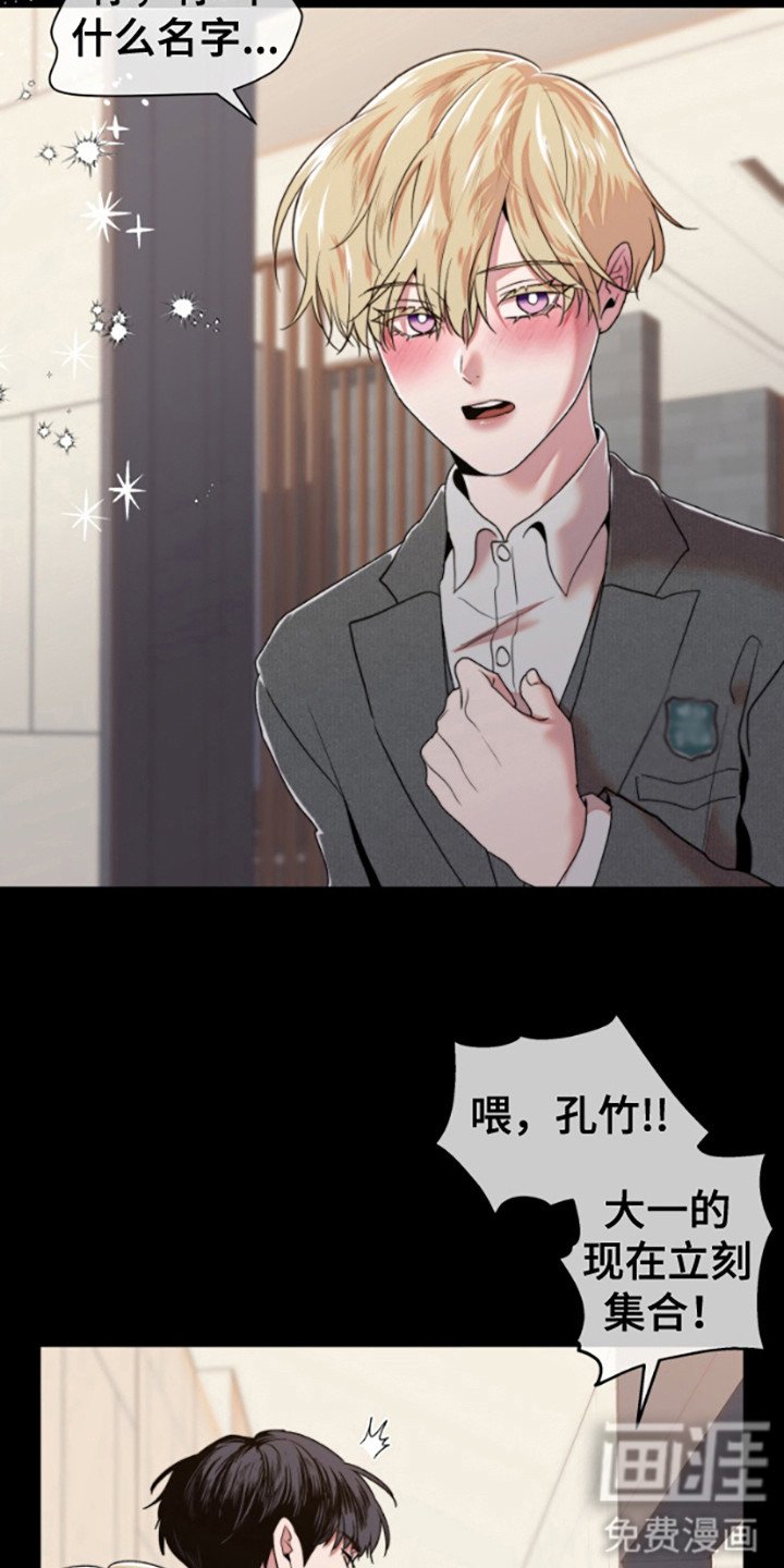 第2章： 一见钟情