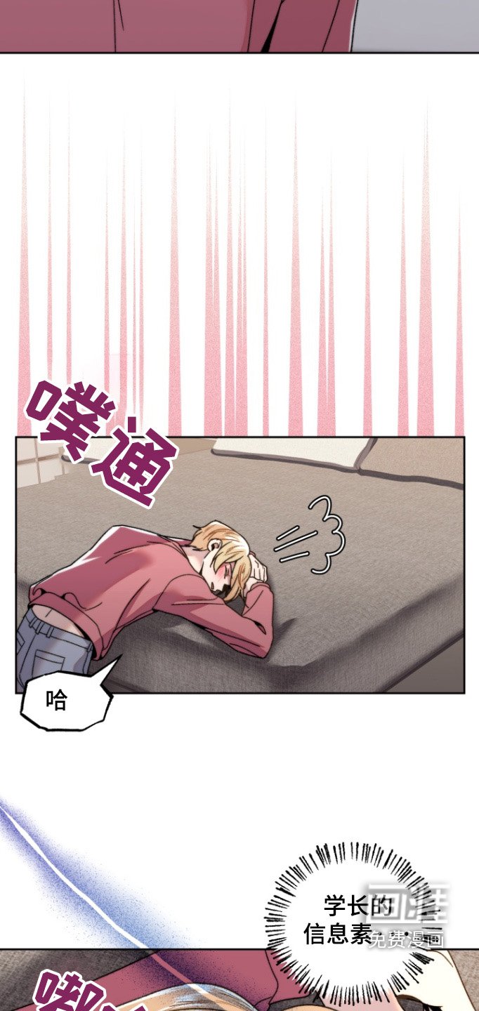 第29章：没在家
