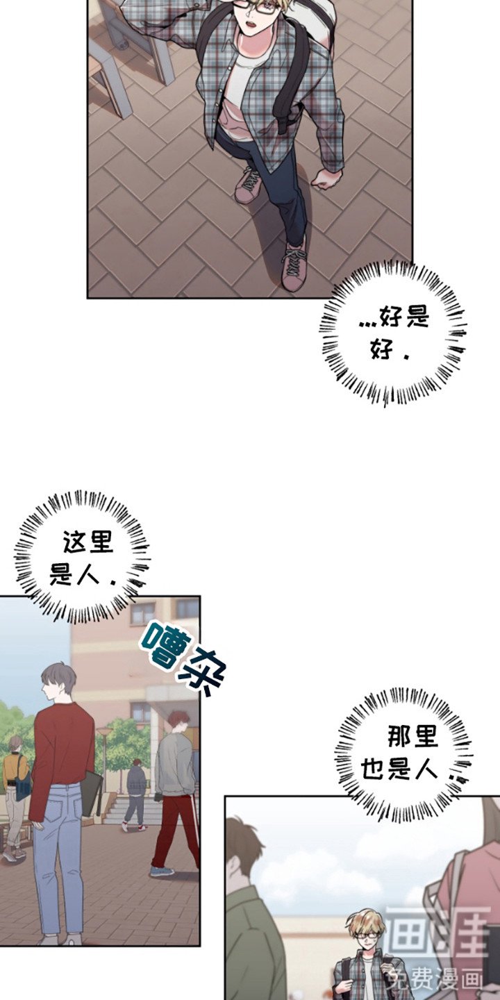 第3章：双胞胎
