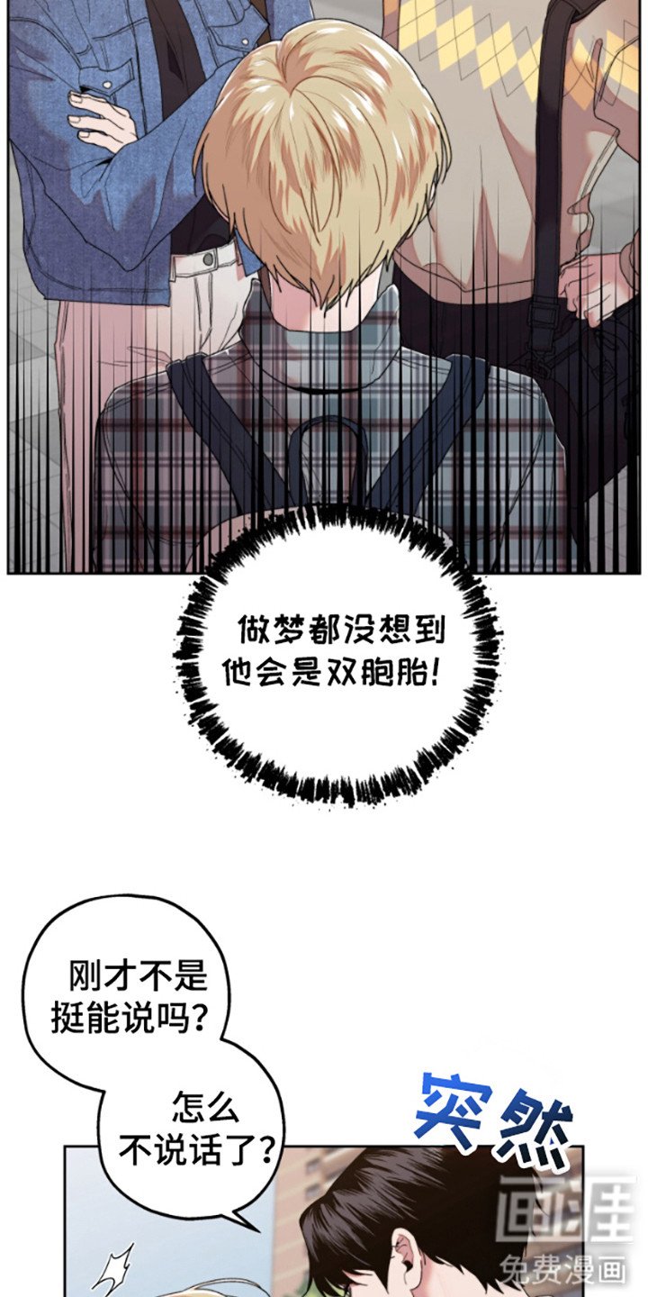 第3章：双胞胎