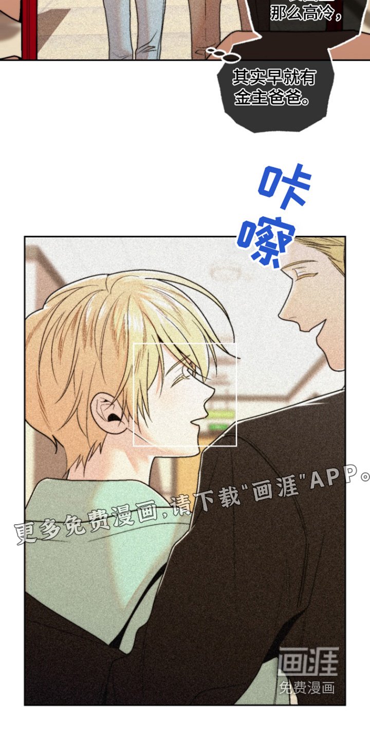 第33章：憔悴