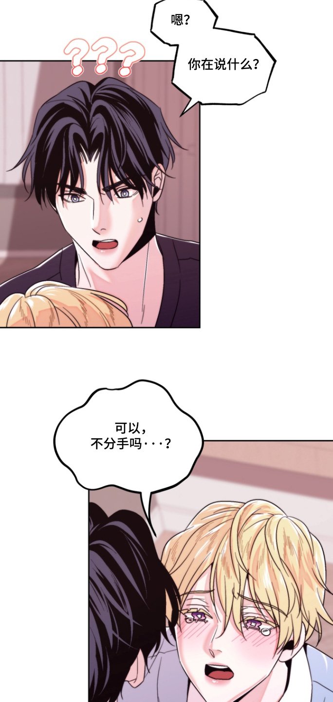 第39章：可以不分手嘛