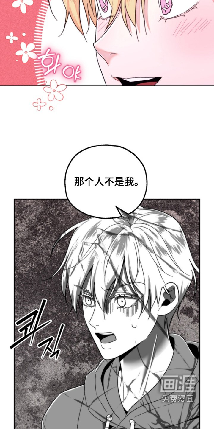 第45章：那个不是我