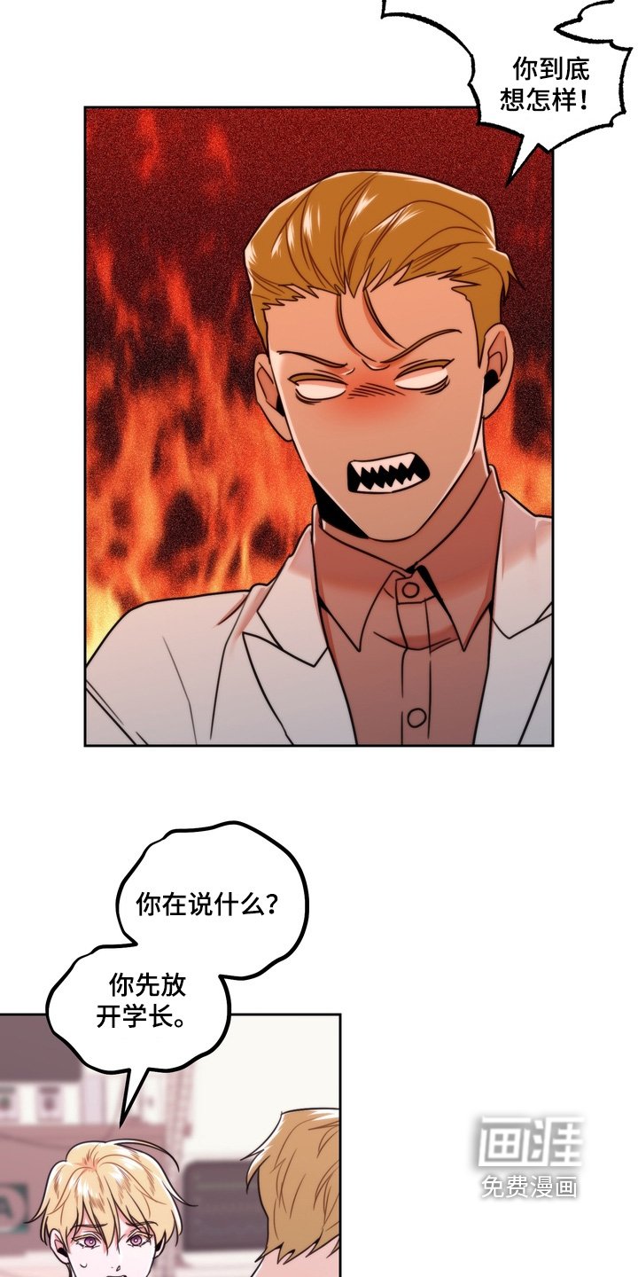 第51章：怀孕了