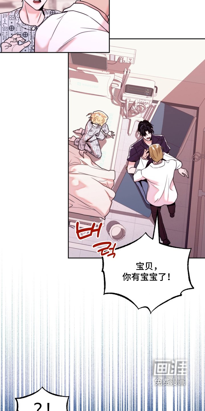 第51章：怀孕了