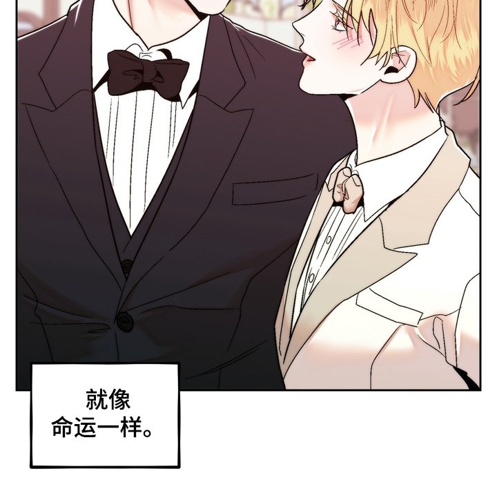 第53章：和我结婚（完结）
