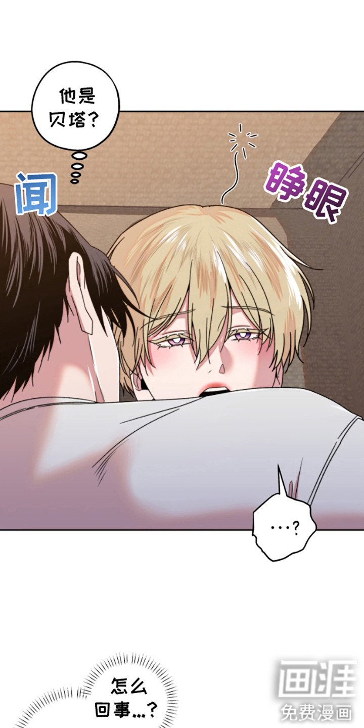 第6章：带回家