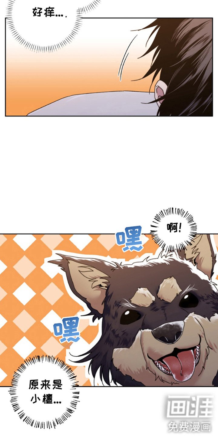 第6章：带回家