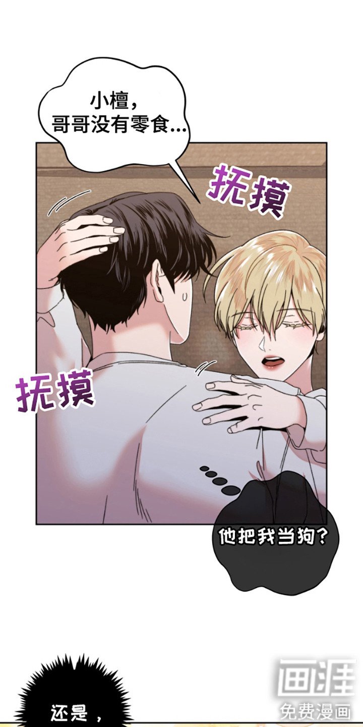 第6章：带回家