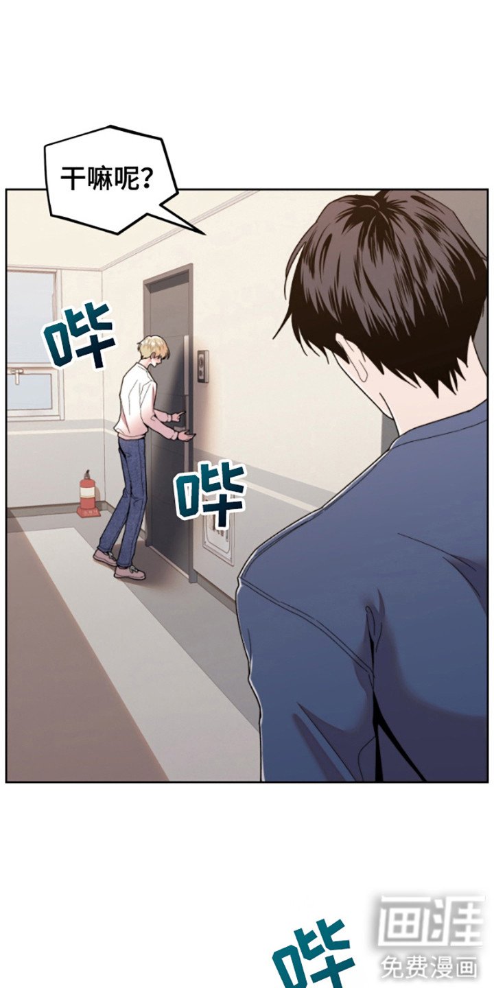 第9章：邻居