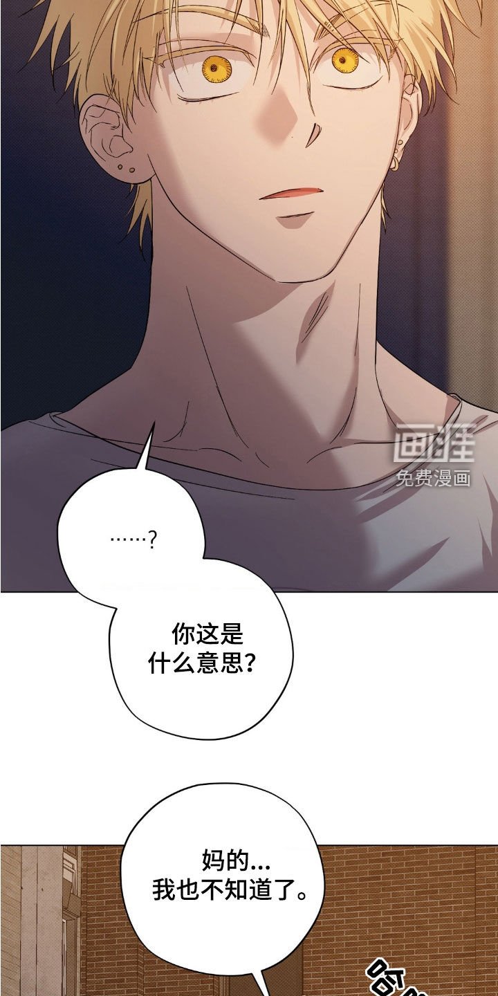 第14章：你找谁不都一样