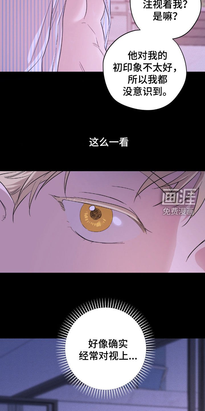 第16章：泳池派对