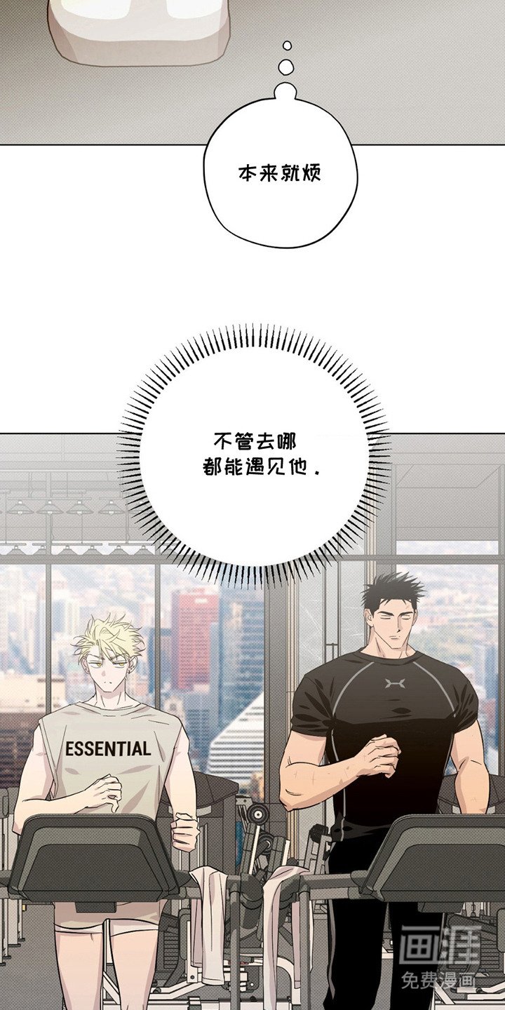 第4章：斗气