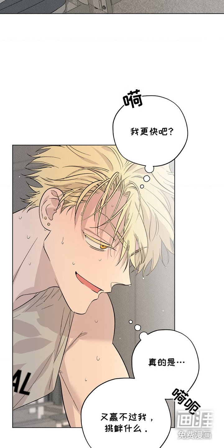 第4章：斗气