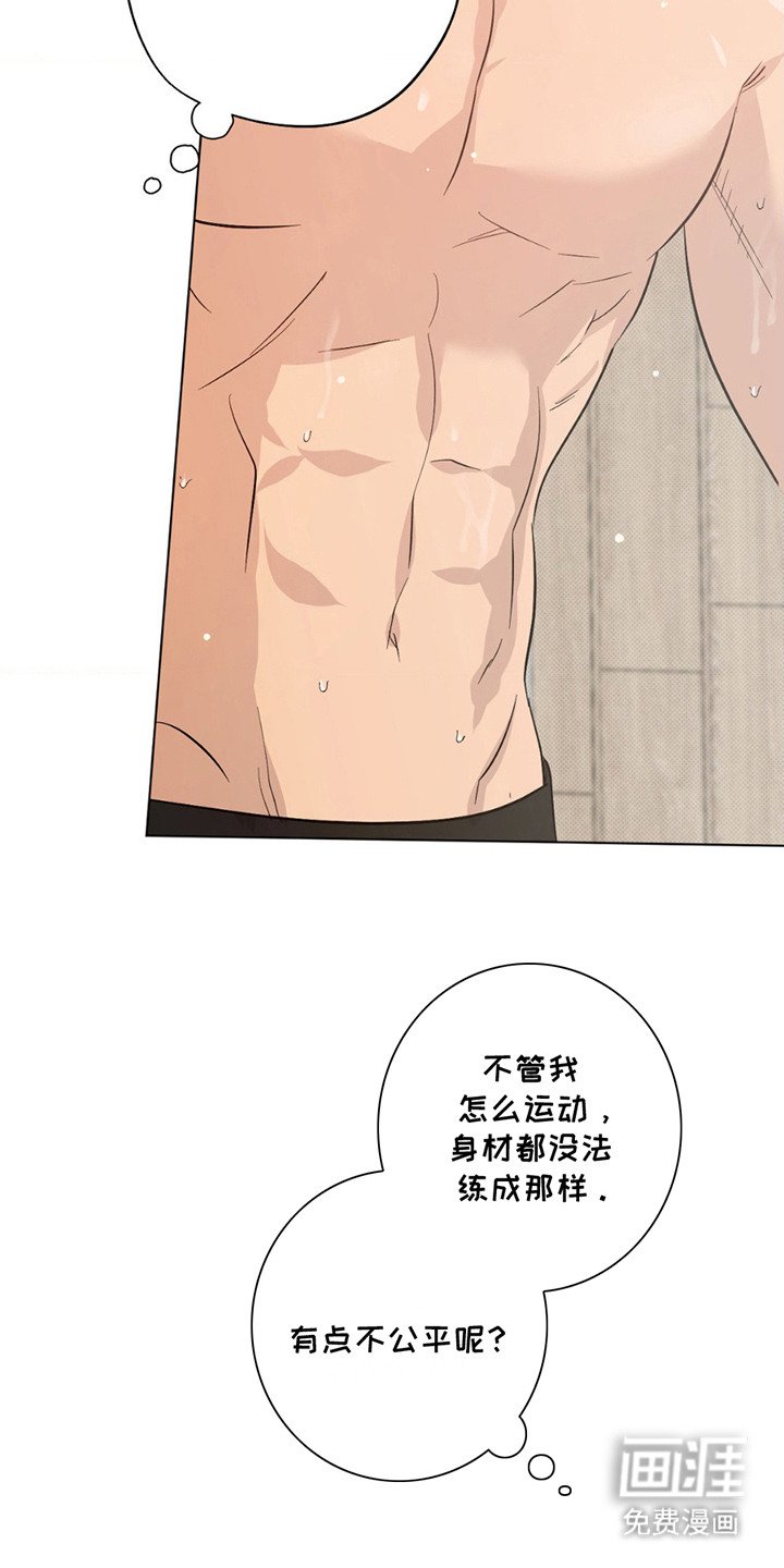 第4章：斗气