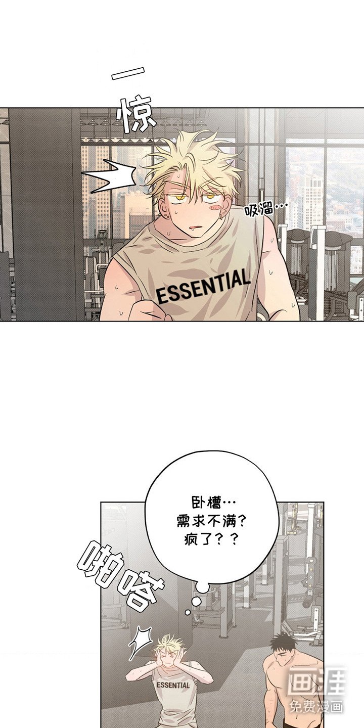 第4章：斗气