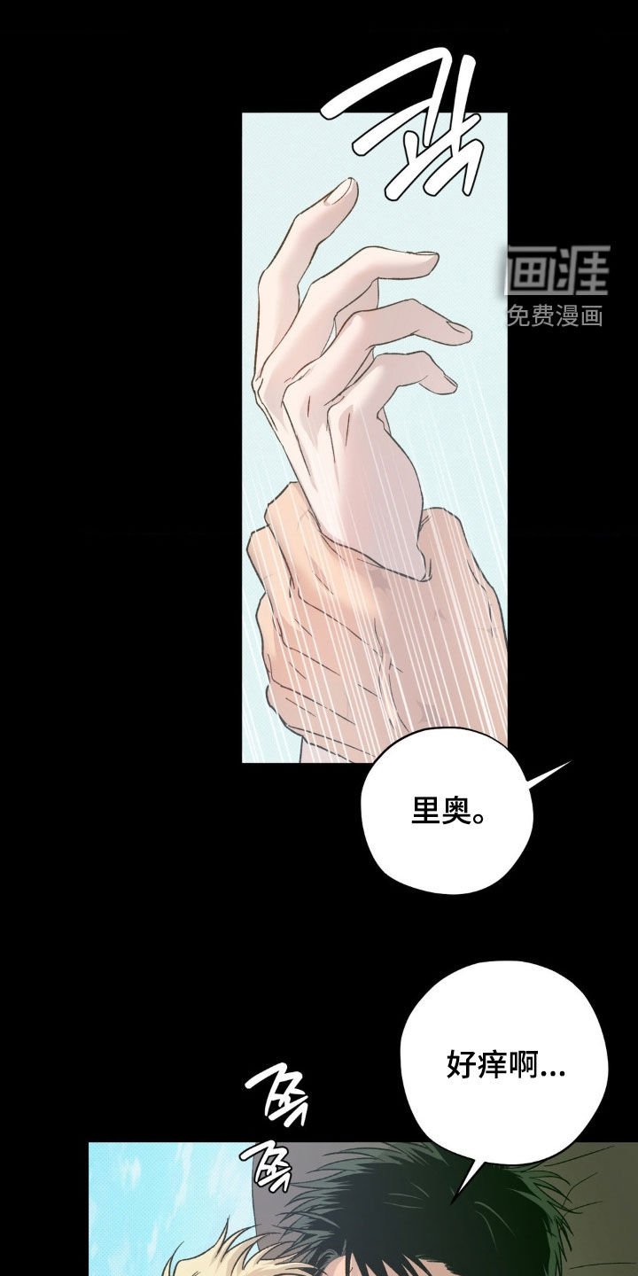 第55章：【番外】大新闻