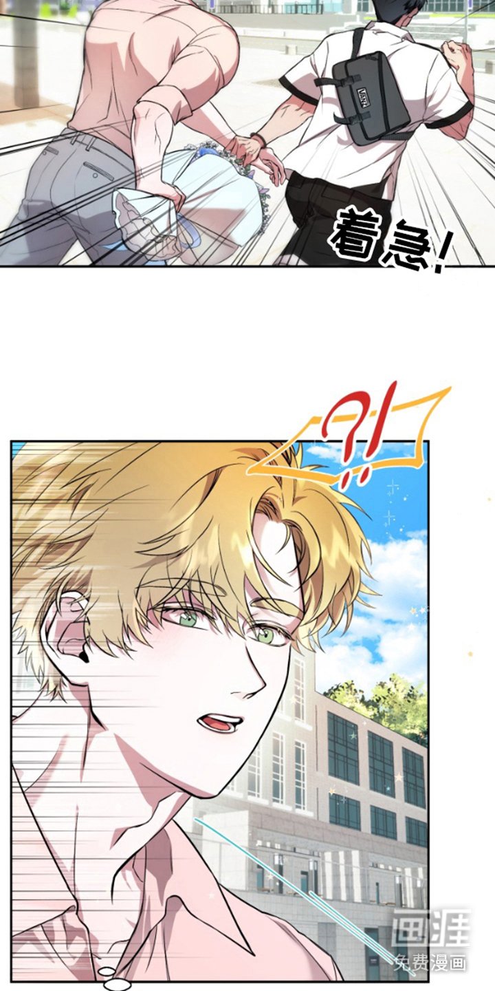 第3章：蓝花
