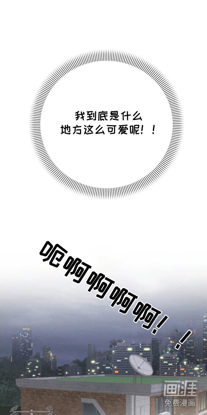 第11章：重大危机