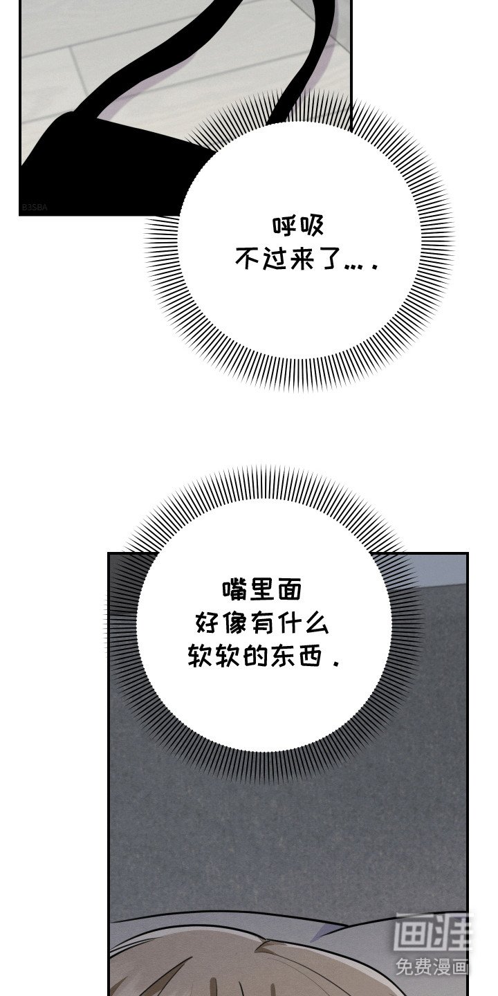 第4章：带他回家