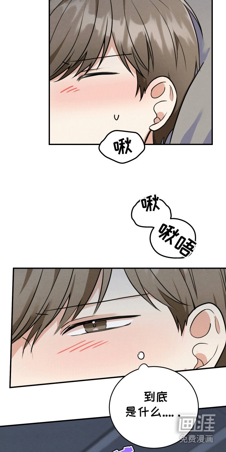 第4章：带他回家