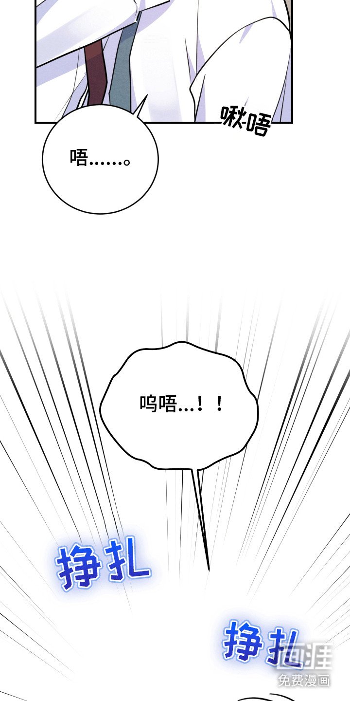 第4章：带他回家
