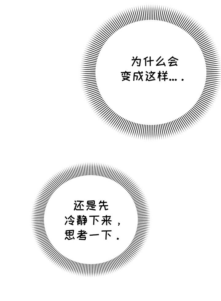 第4章：带他回家