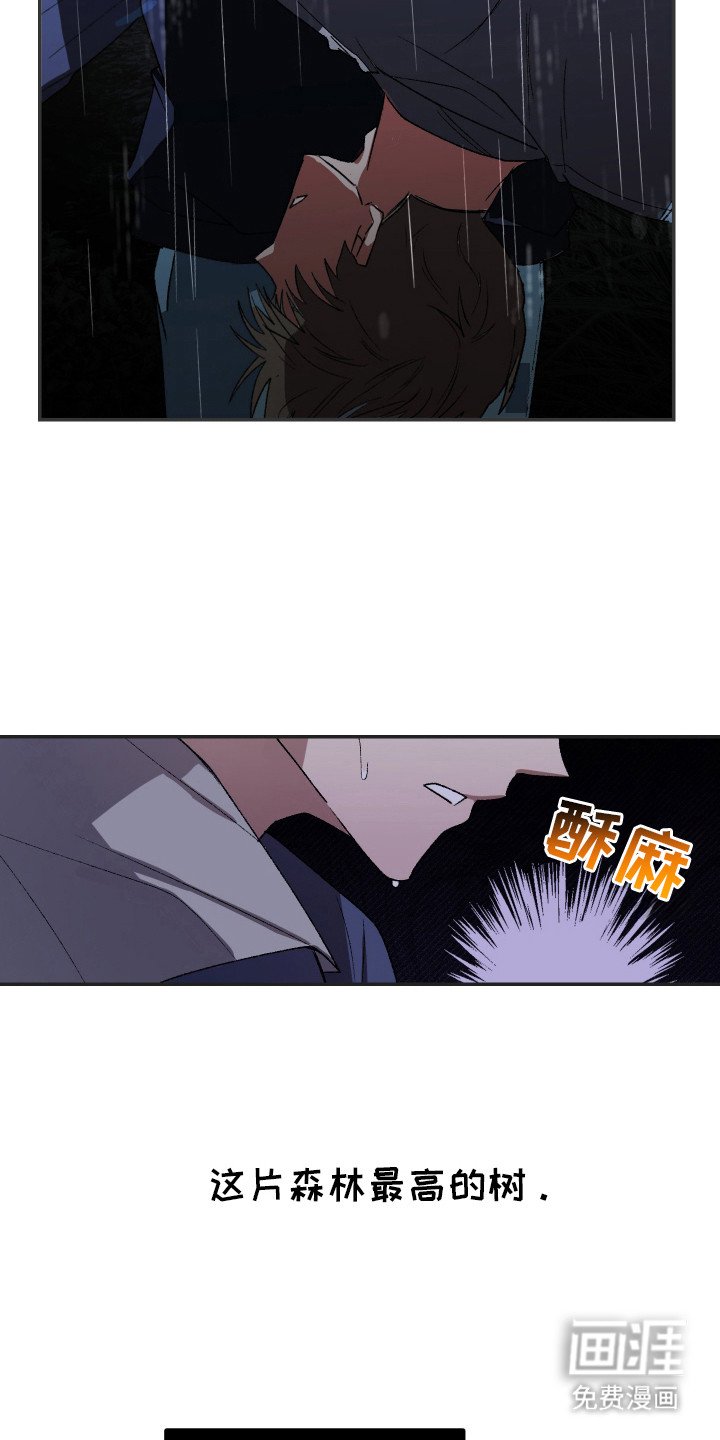 第21章：到极限了