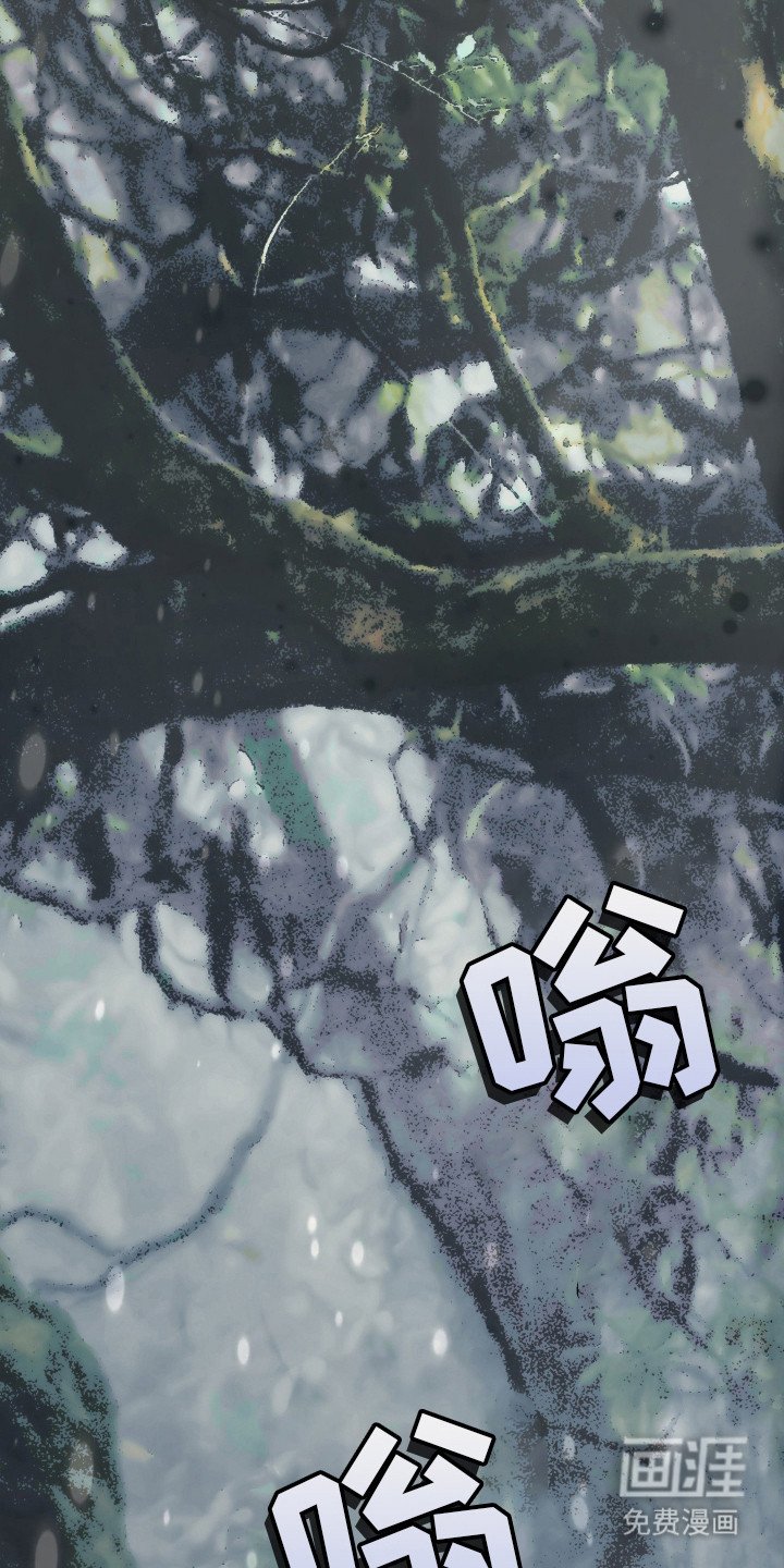 第21章：到极限了