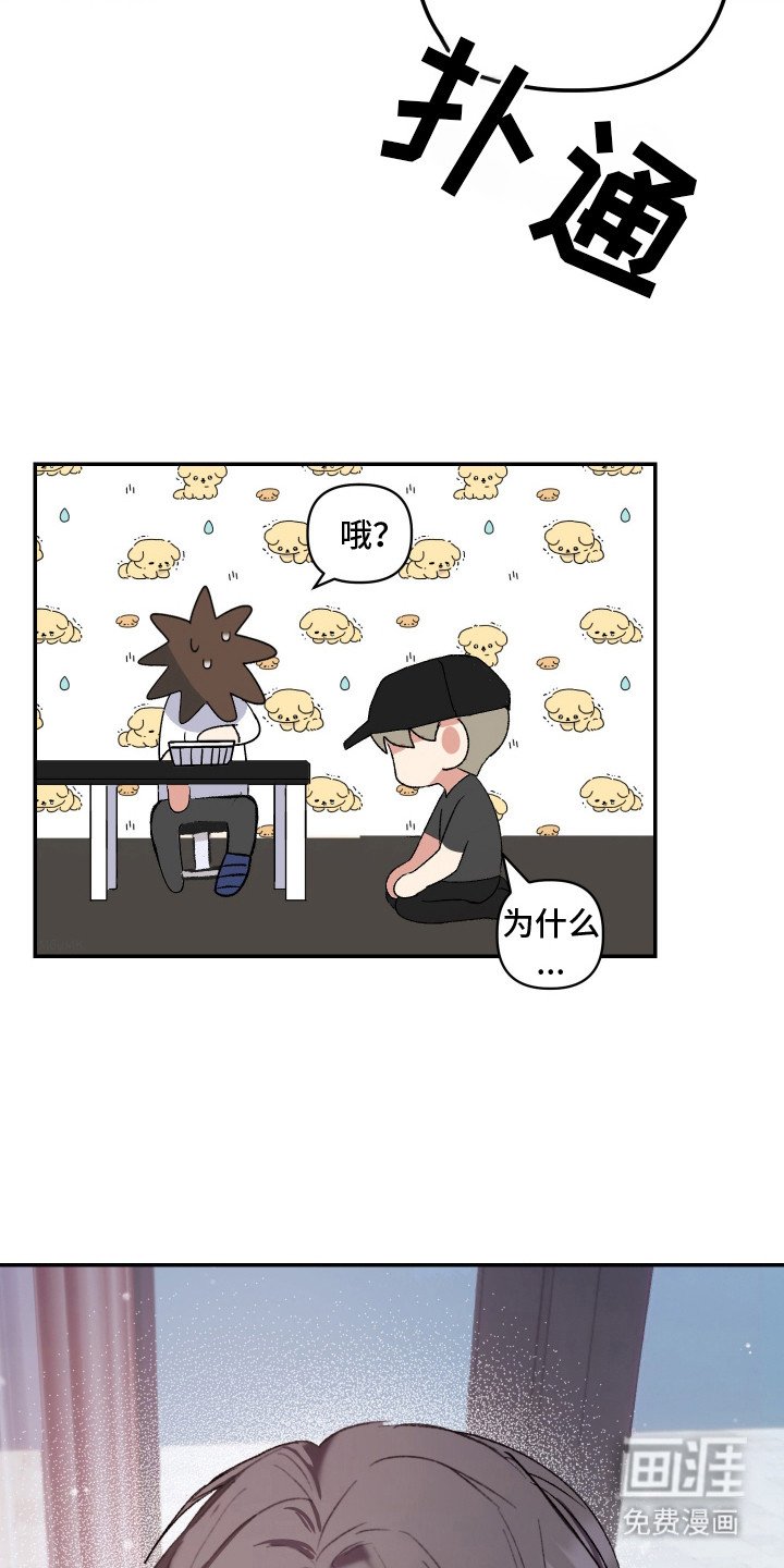 第27章：非常喜欢（完结）