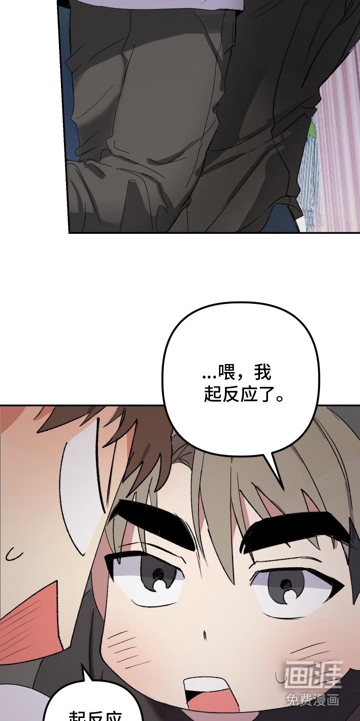 第27章：非常喜欢（完结）