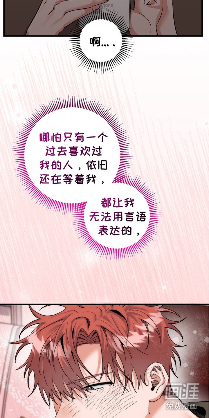 第16章：回归直播