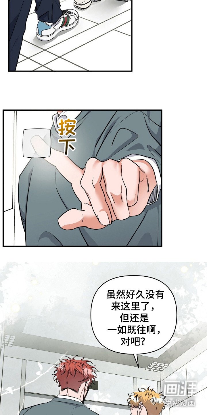 第20章：陪衬