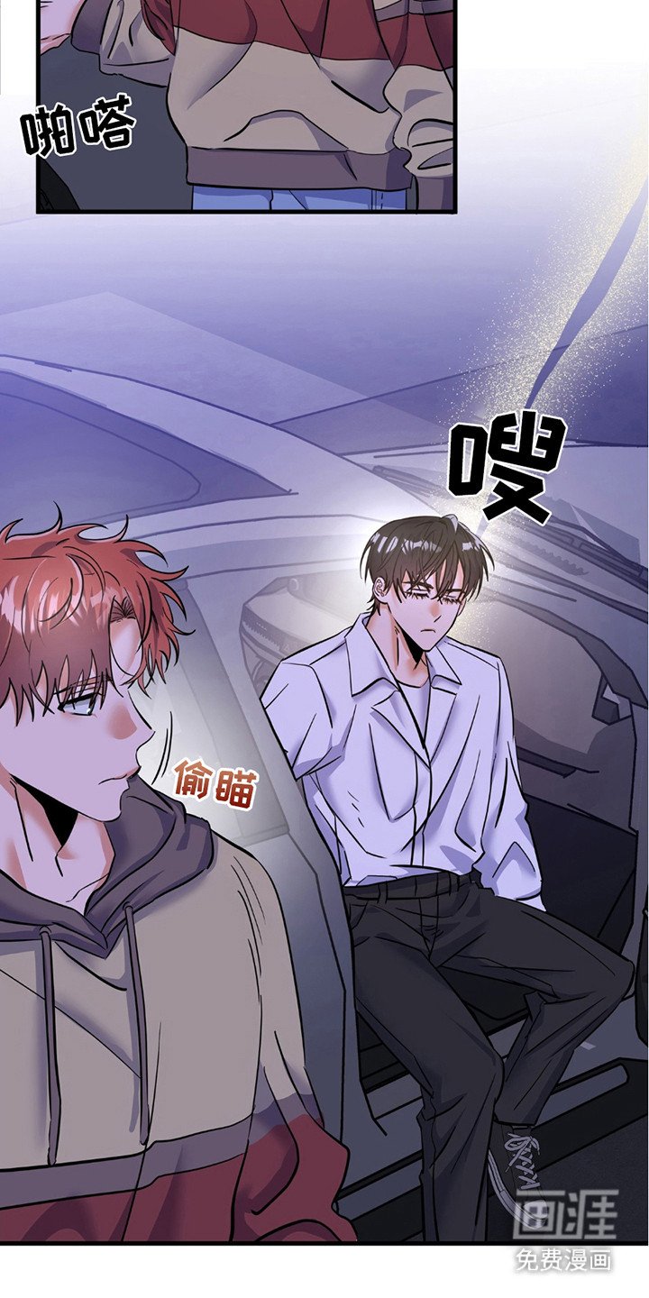 第3章：交流评论
