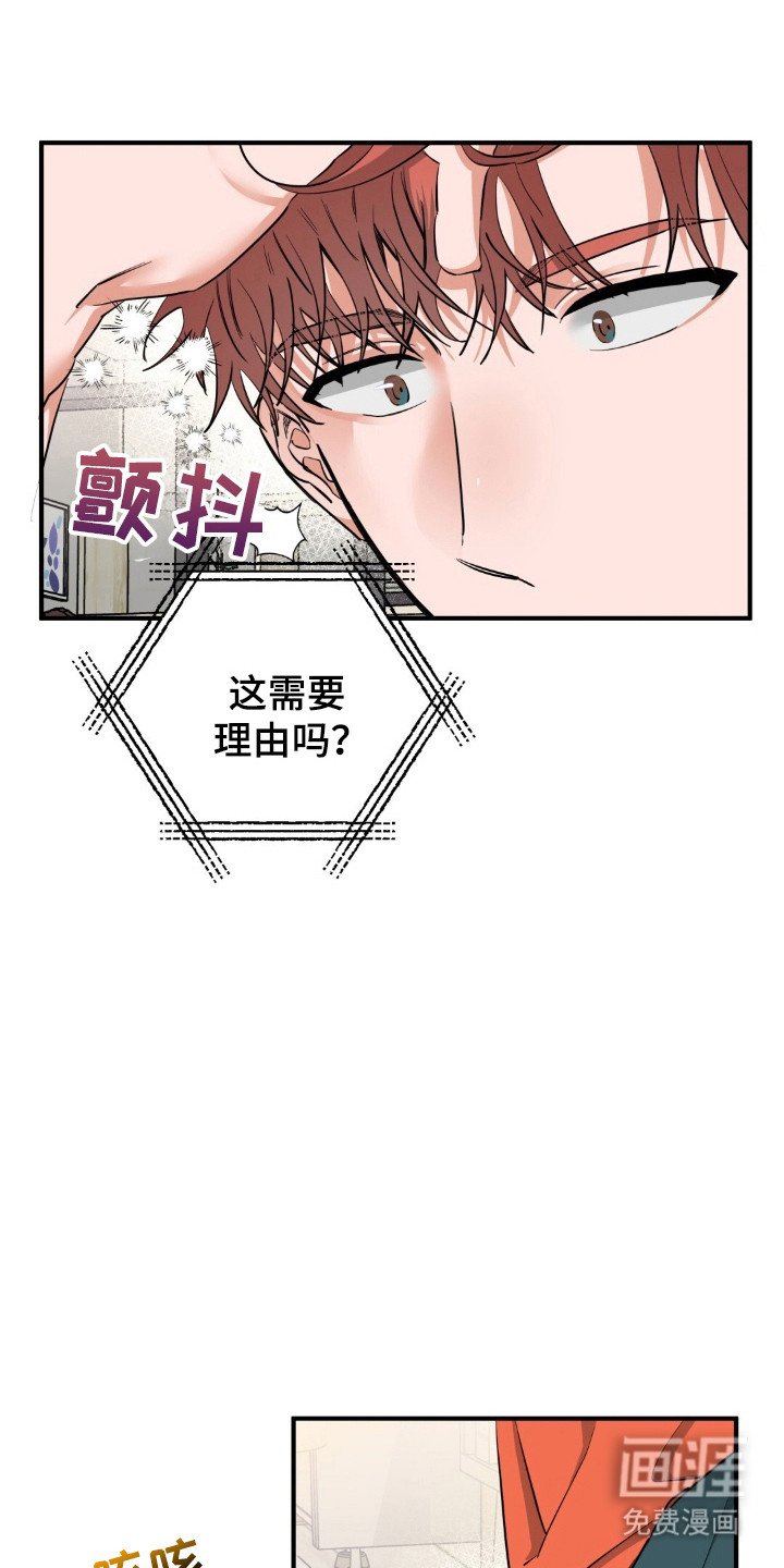 第45章：爱豆设定
