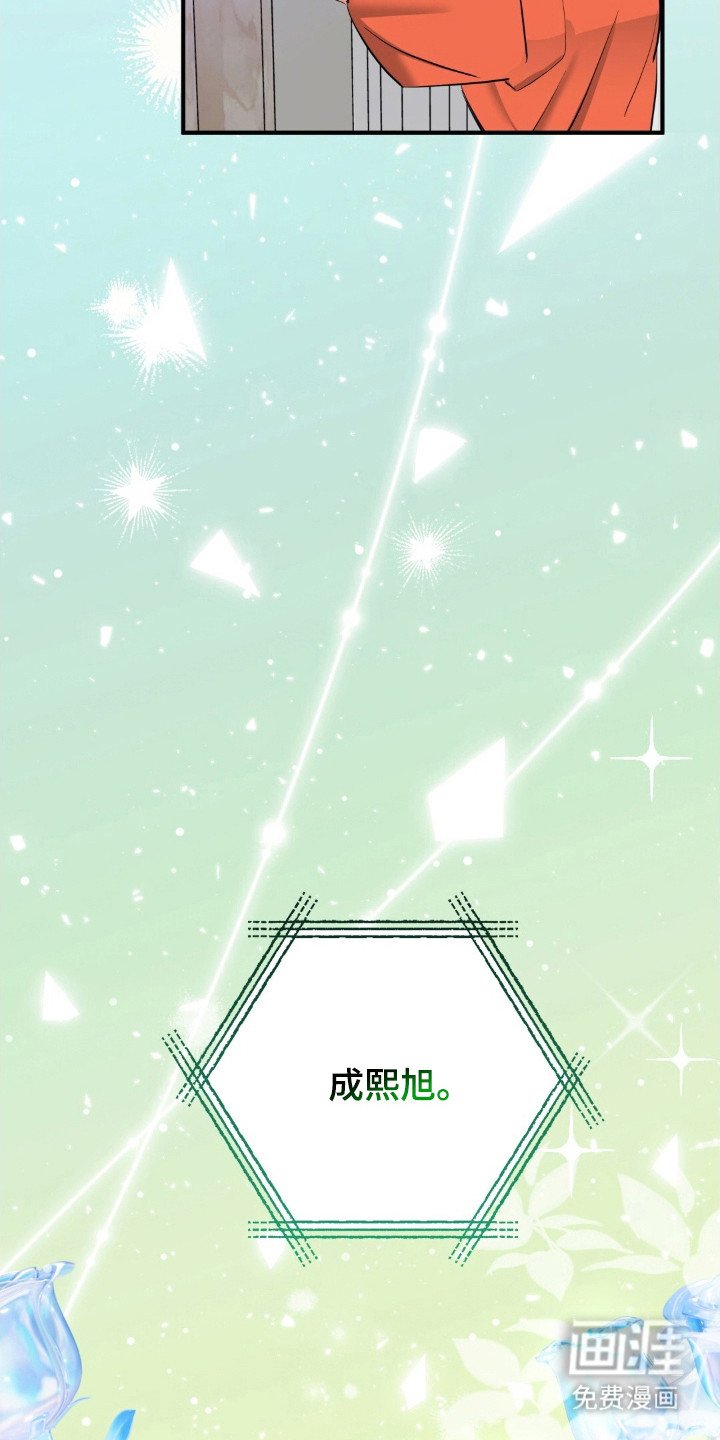 第45章：爱豆设定