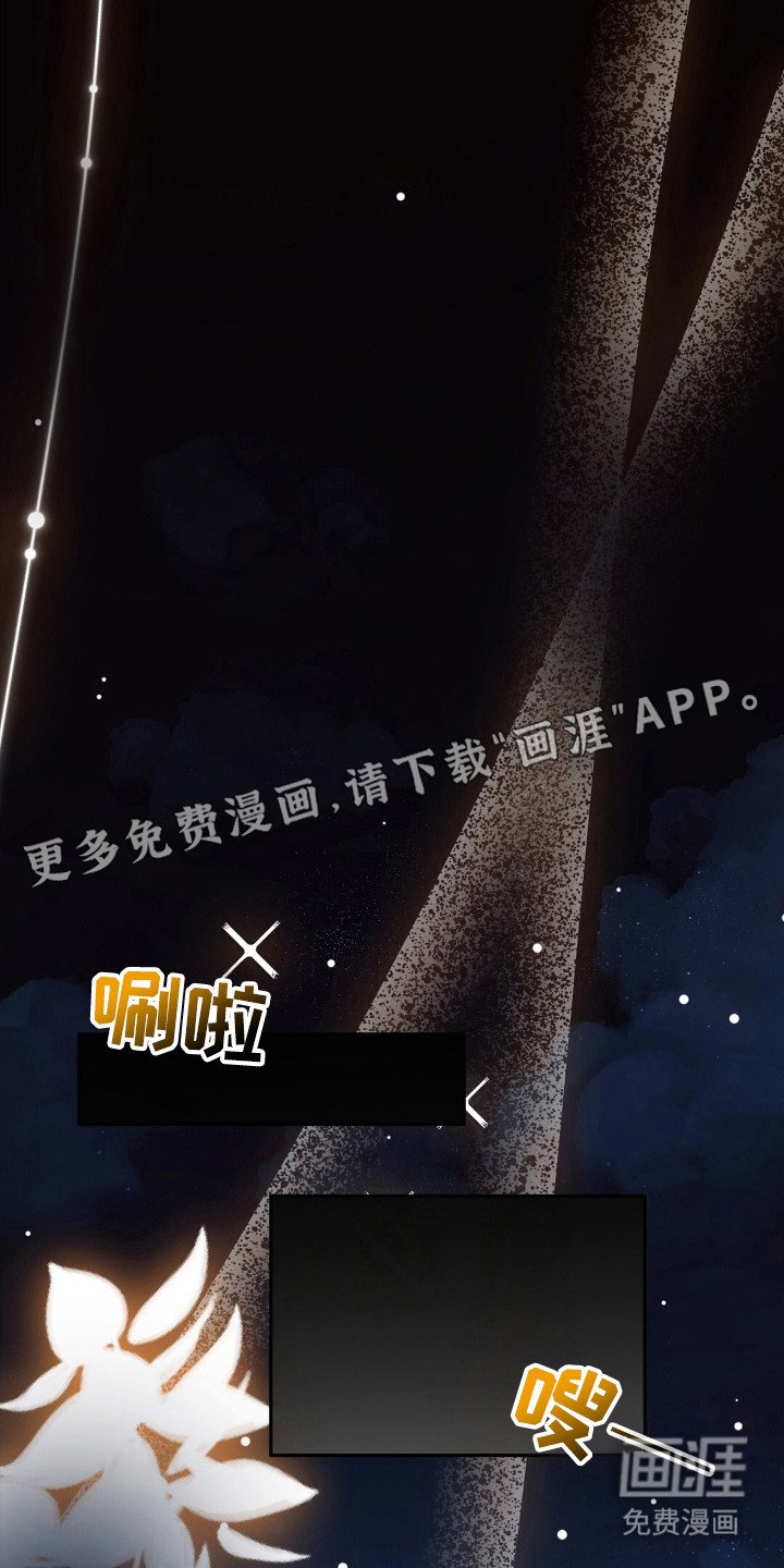 第48章：直播