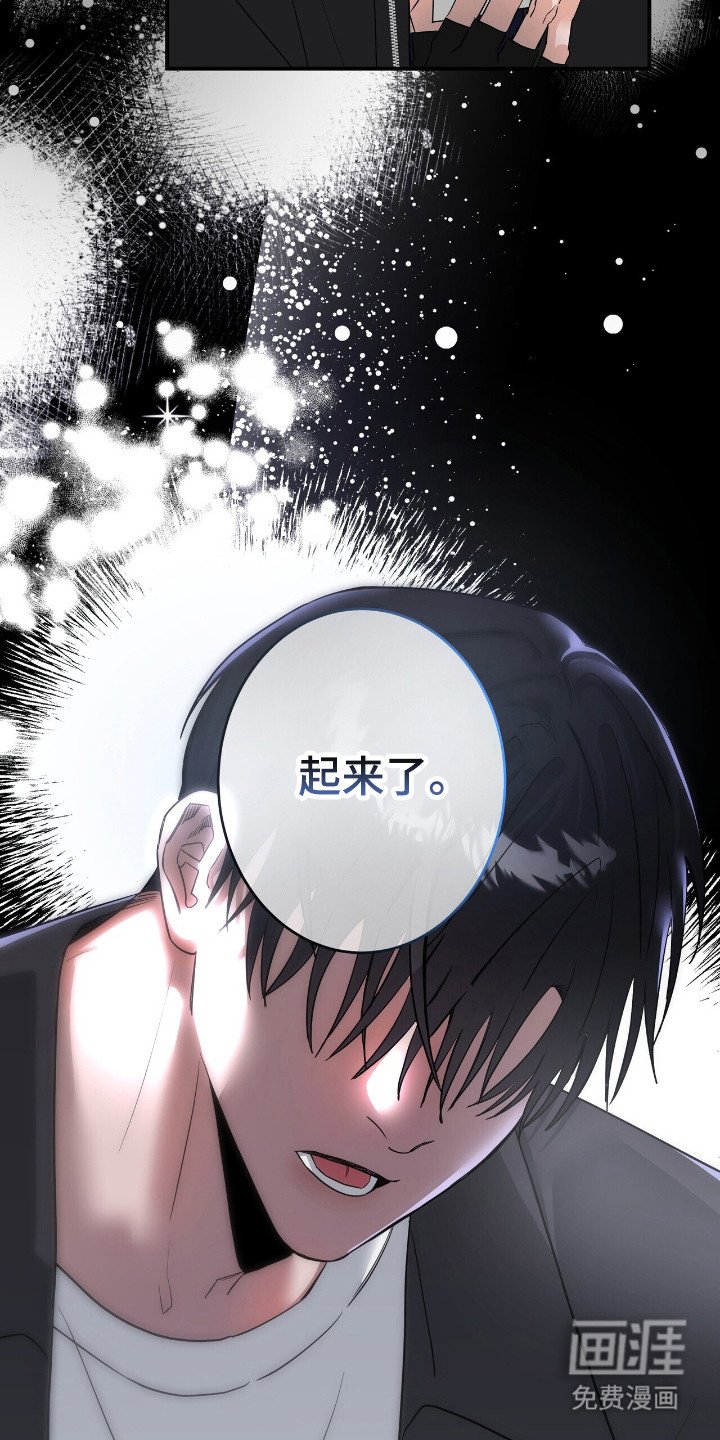 第52章：爱心便当