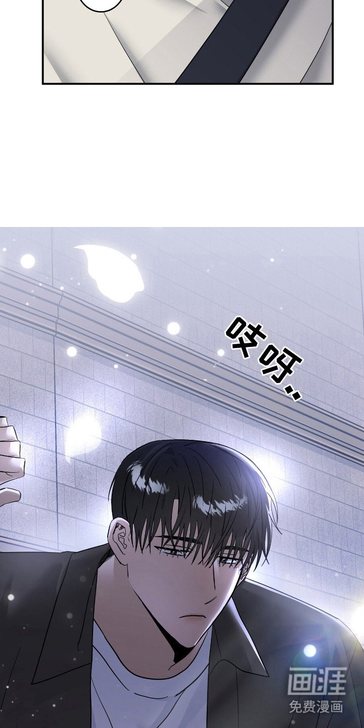 第52章：爱心便当